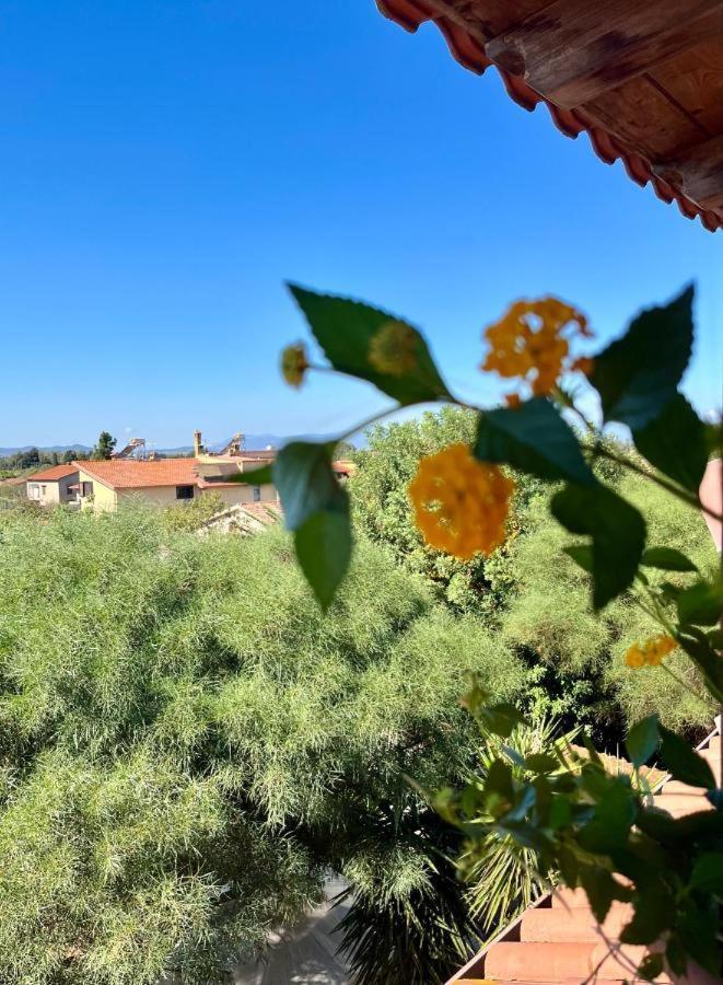Apartamento Casa Di Rosy San Sperate Exterior foto